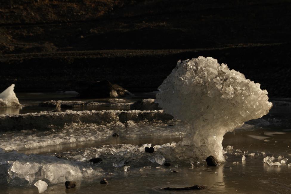 Cubitos de hielo